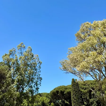 Appartement New - Casa Alba, Tropez *
