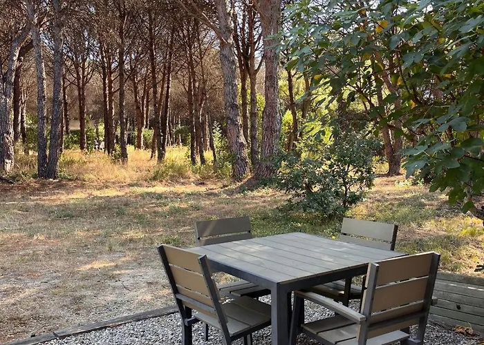 New Pinede * Saint-Tropez